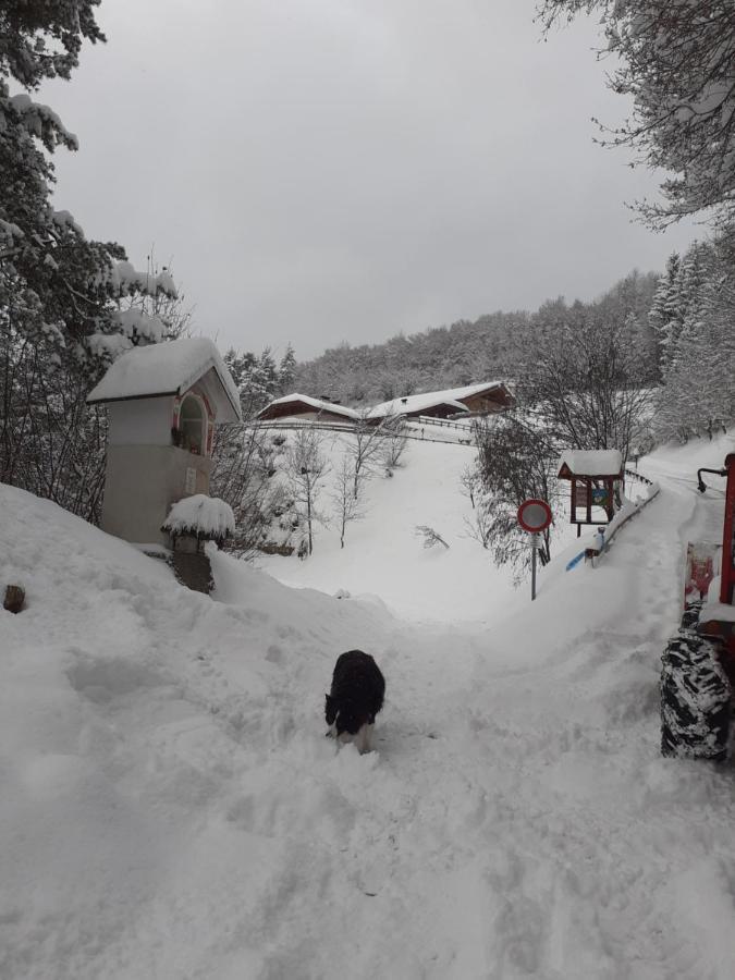 Agriturismo Maso Santa Libera 테세로 외부 사진